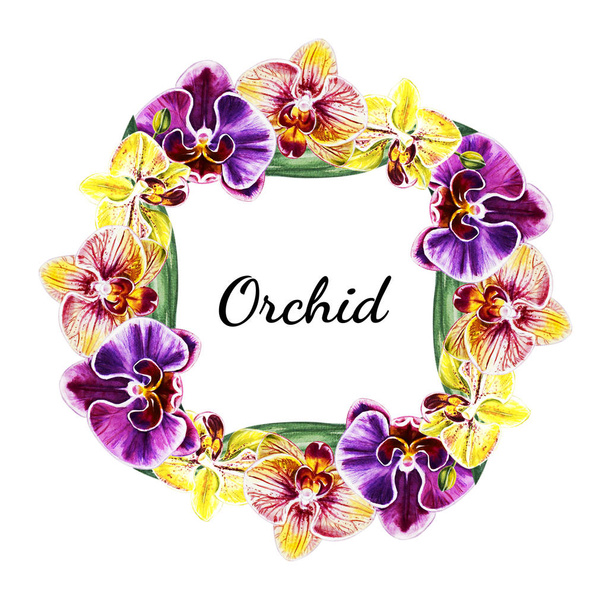 akvarel, rám s květy orchidejí - Fotografie, Obrázek