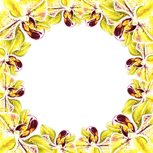 Kaunis keltainen orkidea kukka runko. Vesivärimaalaus. Eksoottinen kasvi. Kukkajälki. Kasvitieteellinen koostumus. Häät ja syntymäpäivä. Onnittelukortti. Kukka maalattu tausta. Käsin piirretty kuva
. - Valokuva, kuva
