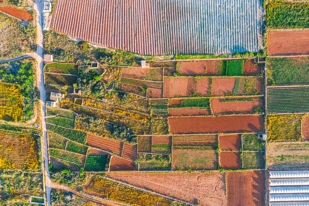 Vista aérea de los diversos campos de cultivos e invernaderos. Concepto de complejo agroindustrial
. - Foto, Imagen