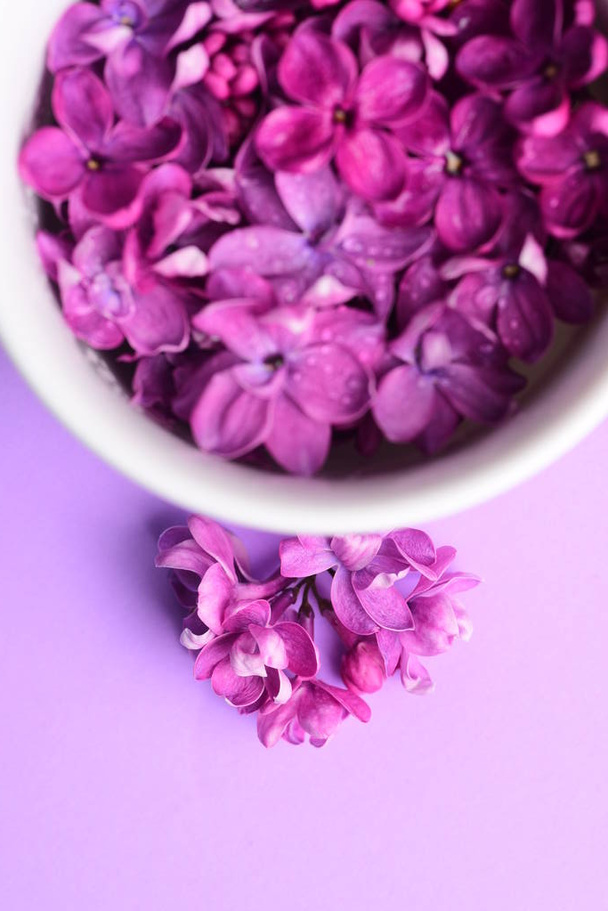 Flores de color lila brillante en taza blanca
 - Foto, imagen