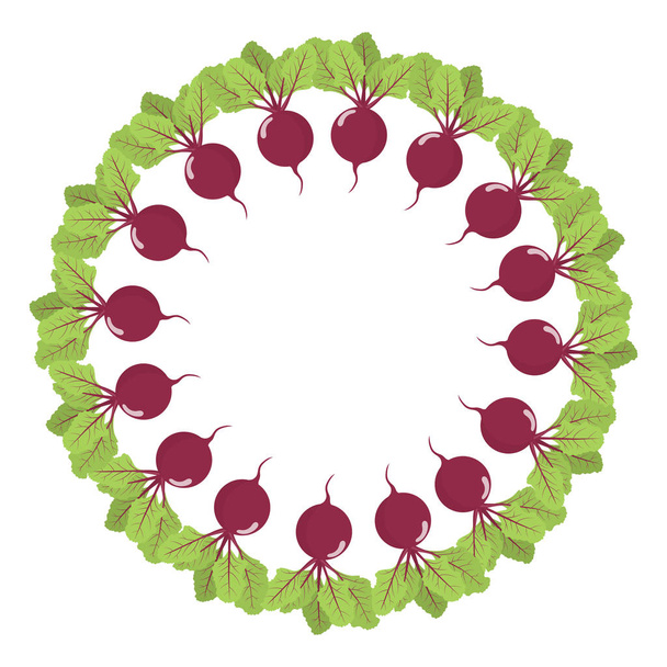 Beet wreath. Fresh vegetables. Organic food. Vector illustration on white background. - Vector, Image