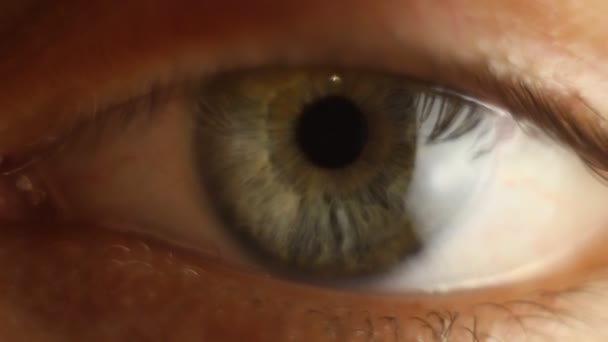 pislogó férfi szeme közelről körülnéz. Piros artéria a szemgolyó makrón. pupilla reakció a fényre. Mioz és Midriaz. a szemhéj becsukása és felnyitása - Felvétel, videó