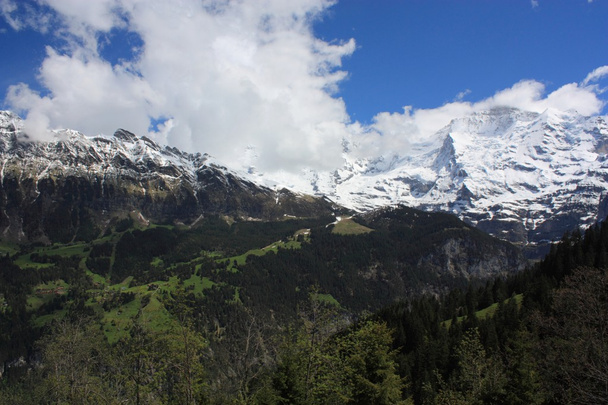 Swiss Alps - Fotografie, Obrázek