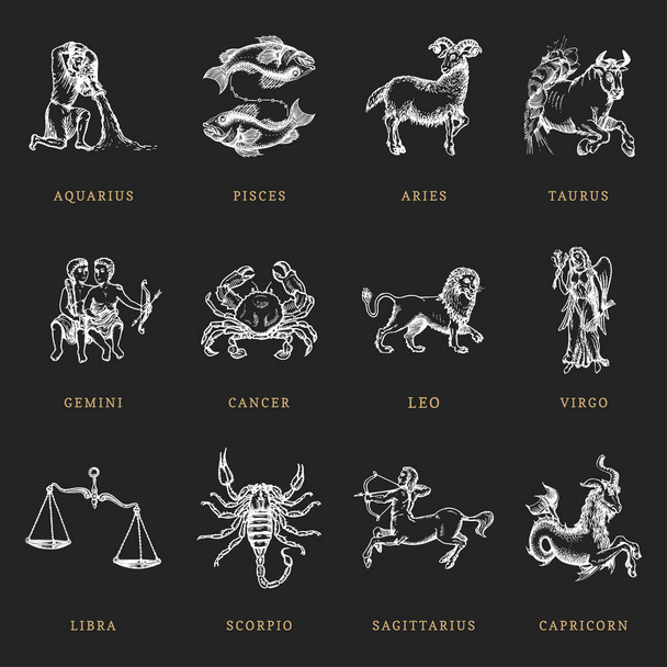 Zodiac symbolit asetettu, käsin piirretty kaiverrus tyyliin. Astrologisten merkkien vektorigraafinen retro-kuva
. - Vektori, kuva