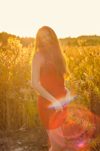 Beautiful girl in a posh red dress posing on a poppy field. Poppy field at sunset. Art processing. Sunset - Φωτογραφία, εικόνα