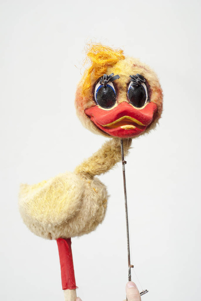 Pato de muñeca controlado
 - Foto, Imagen