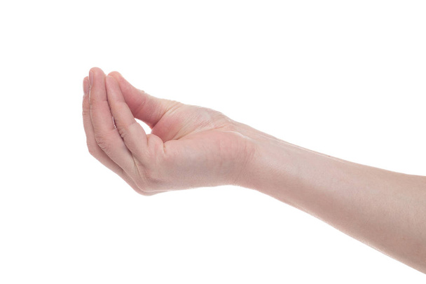 Lege mannenhand gebaar als bedrijf iets geïsoleerd o - Foto, afbeelding