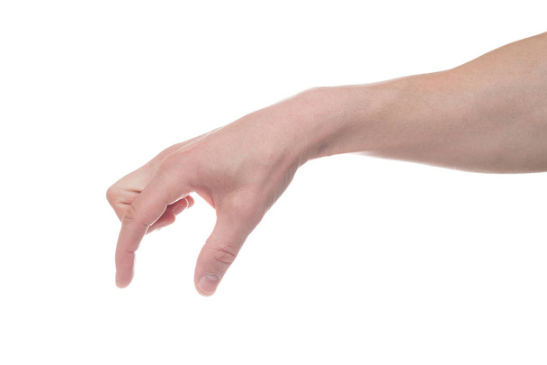 Empty male hand making gesture like holding something isolated o - Photo, Image