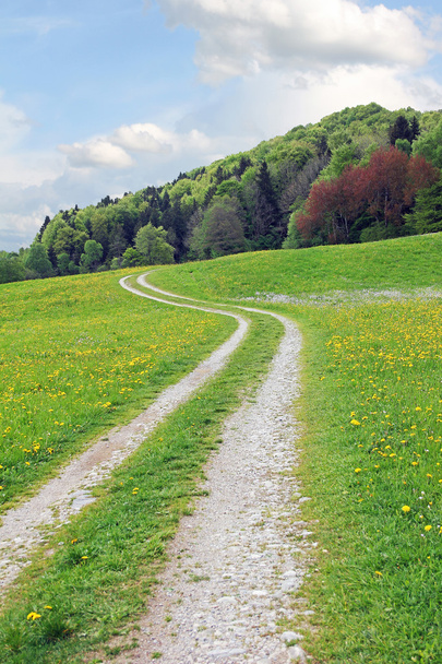 Hiking trail in springlike landscape - Фото, изображение
