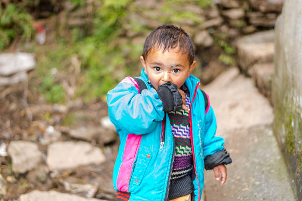 Kullu, Himachal Pradesh, India-április 01, 2019: portré himalájai fiú, gyerek Himalájában - Fotó, kép
