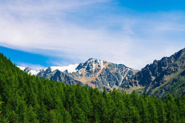 Снігова вершина гори за лісистим пагорбом під блакитним чистим небом. Скелястий хребет над хвойним лісом. Атмосферний мінімалістичний пейзаж величної природи
. - Фото, зображення