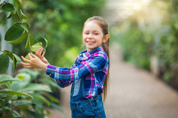 beautiful little girl caring for plants in the greenhouse garden - Fotó, kép