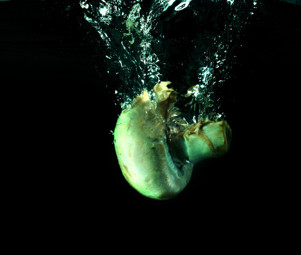 Champignon in water - Foto, afbeelding