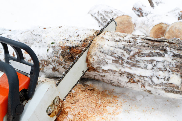 wintertijd kettingzagen berkenhout - Foto, afbeelding