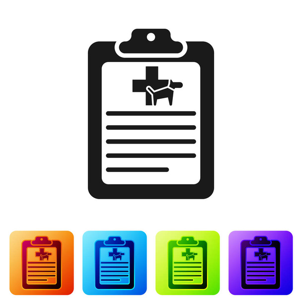 Black Clipboard with medical clinical record pet icon isolated on white background. Health insurance form. Medical check marks report. Set icon in color square buttons. Vector Illustration - Vector, Image