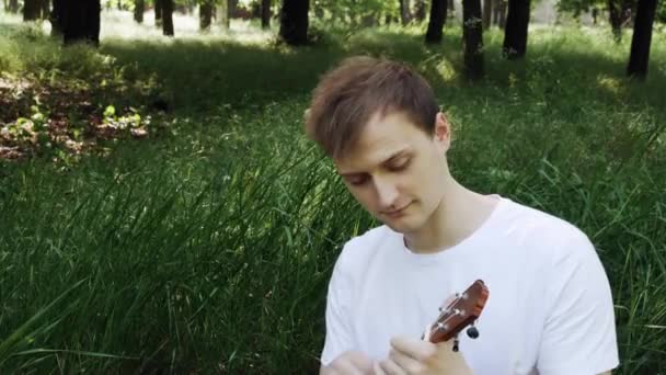 Aantrekkelijke jonge man spelen een ukulele zittend op gras de man raakt de snaren. Muzikant met een instrument. Bruine ukulele.  - Video