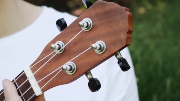 Člověk hrající na ukulele v přírodě zblízka na ruce a hudební nástroj. - Záběry, video