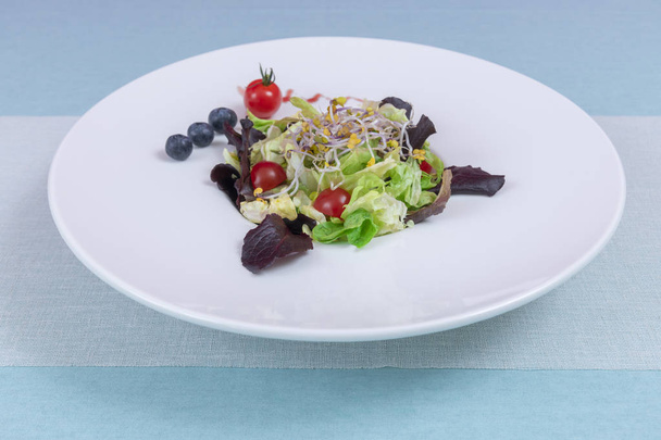 Mistura de salada de feijão de broto isolado em uma placa branca. vegan, dieta de alimentos crus
 - Foto, Imagem