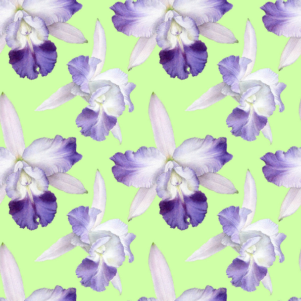 Orchid watercolor illustrations isolated on color background. Seamless pattern with colorful orchid. - Valokuva, kuva
