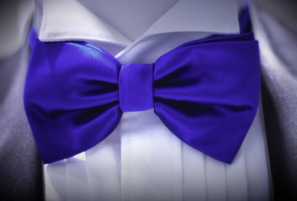 classic wear bow tie blue costume style shirt suit - Photo, Image
