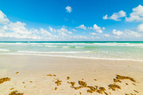 Agua turquesa y arena blanca en la mundialmente famosa South Beach
 - Foto, imagen