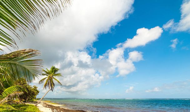 Παραλία Autre με μπουφέ στη Γουαδελούπη κάτω από συννεφιασμένο ουρανό - Φωτογραφία, εικόνα