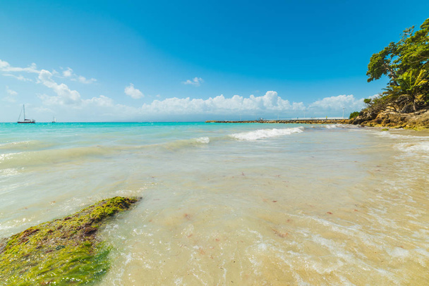 Acqua turchese nella spiaggia di La Datcha in Guadalupa
 - Foto, immagini