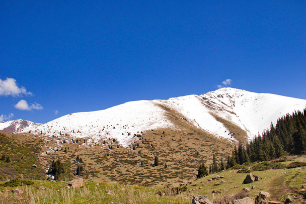 Ορεινά τοπία του Κιργιζιστάν. Η άνοιξη στα βουνά. - Φωτογραφία, εικόνα
