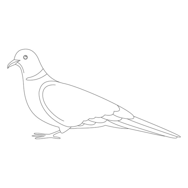 Turtledove, vector illustratie, voering tekenen, profiel  - Vector, afbeelding
