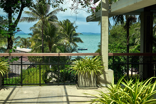 amazing view of palms, terrace and the sea far away - Zdjęcie, obraz