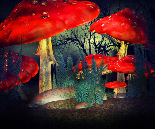 Funghi rossi Magic Wonderland fondale
 - Foto, immagini