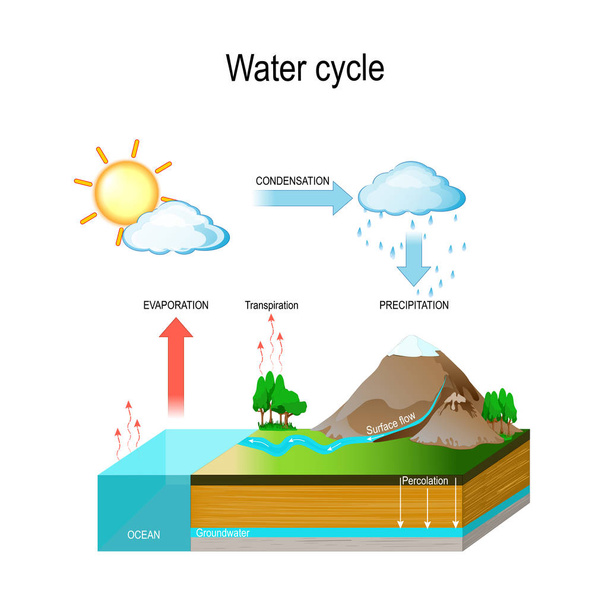 Vodní cyklus - Vektor, obrázek