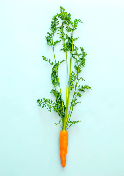 Fresh carrot on pastel blue background, top view, copy space, healthy food concept - Fotó, kép