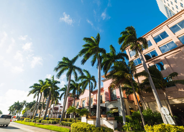 West Palm Beach palmiye ağaçları ve zarif binalar - Fotoğraf, Görsel