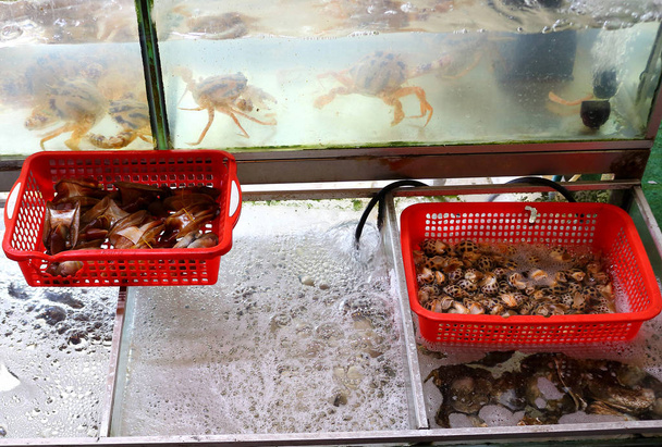 Phu Quoc gece pazarı Vietnam satışa taze deniz ürünleri - Fotoğraf, Görsel