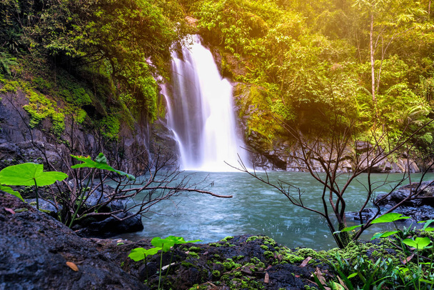 Podróże w lesie wiosennym i nowych wodospadów odkrycie. Piękny wodospad w wiosennym lesie ze światłem słonecznym. - Zdjęcie, obraz
