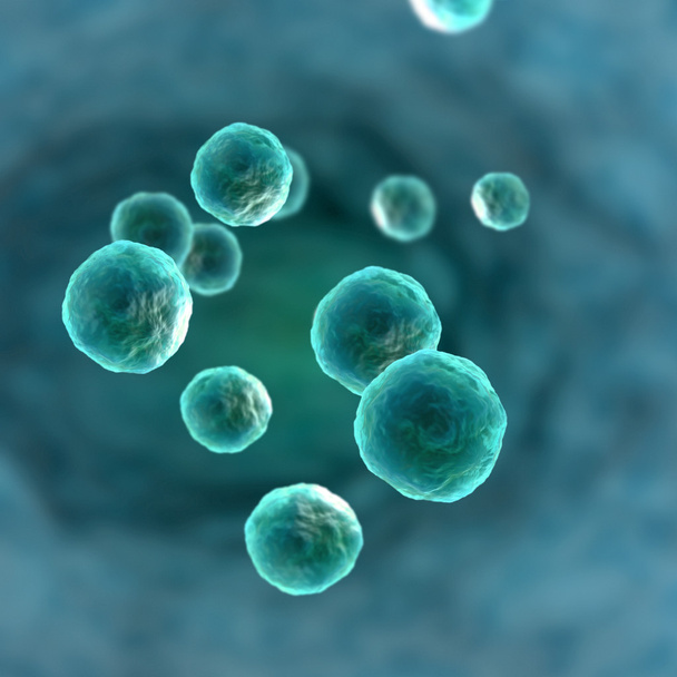 Μικροσκοπική άποψη των ανθρώπινων κυττάρων - Φωτογραφία, εικόνα