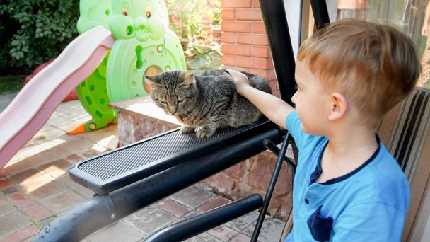 Κοντινό πλάνο φωτογραφία αξιολάτρευτο 3 ετών νήπιο αγόρι χαϊδεύοντας γκρι γάτα στο σπίτι πίσω αυλή - Φωτογραφία, εικόνα