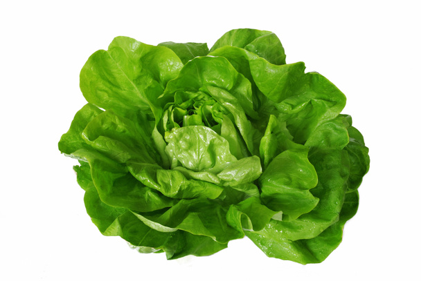 Green lettuce isolated over white - Photo, Image