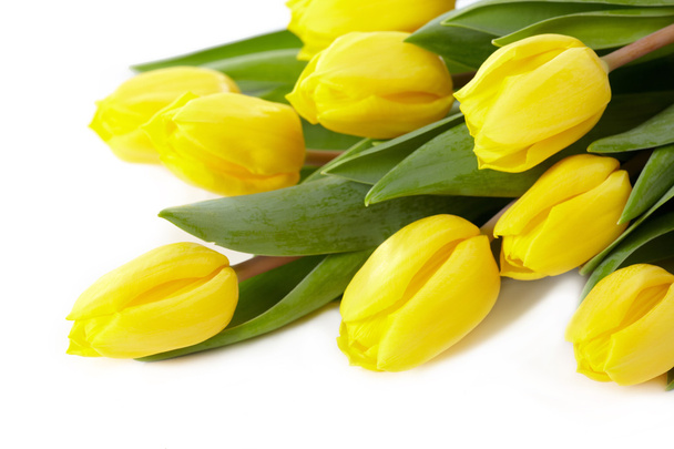 gele tulpen - Foto, afbeelding