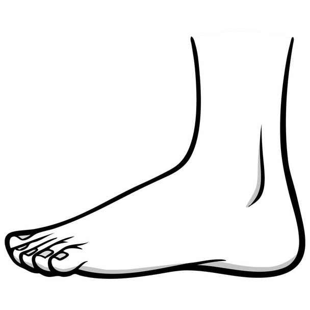 Kívül Foot illusztráció-A rajzfilm illusztrációja a külső a láb. - Vektor, kép