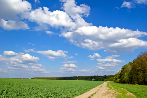 "Green field,road,forest,on the background of the blue sky with clouds." - Photo, Image