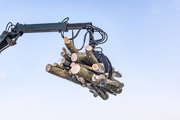 Hydraulický manipulátor se špalky, na nebeském pozadí - Fotografie, Obrázek