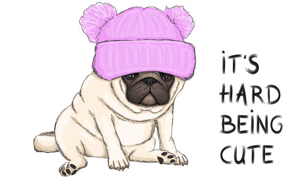 красочная векторная иллюстрация смешного щенка-мопса, сидящего в розовой вязаной шляпе и текст его трудно быть милым
 - Вектор,изображение