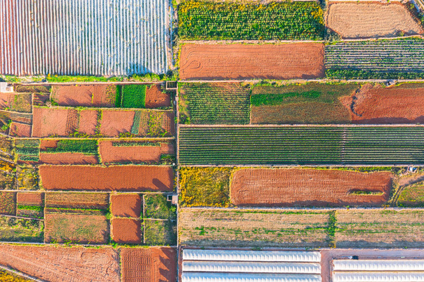 Luchtfoto van de verschillende velden van gewassen en kassen. Concept van agro-industrieel complex. - Foto, afbeelding