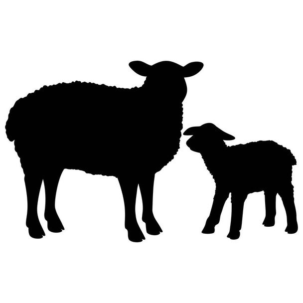 Silueta de oveja - Una ilustración de dibujos animados de una oveja y un cordero
. - Vector, imagen