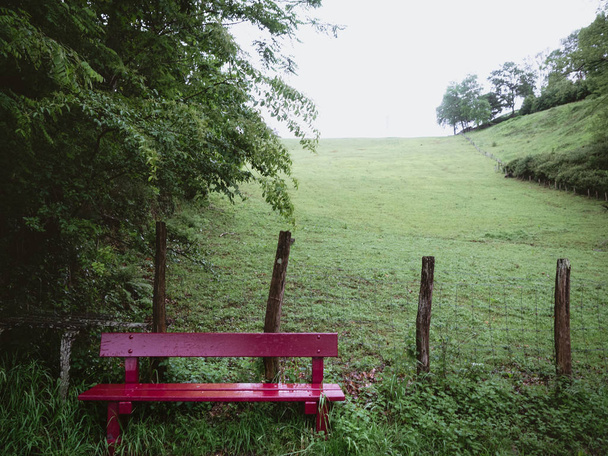 緑の草原の赤い木製のベンチ - 写真・画像