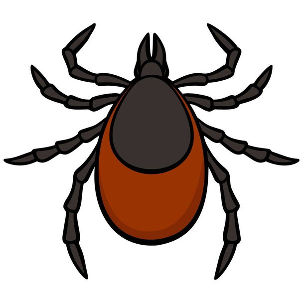 Tick - A cartoon illustration of a Tick. - Vector, Image