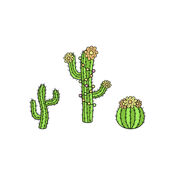 handgezeichnete Kakteensammlung. niedlich skizzierte Vektorillustrationen von Kakteenpflanzen mit Blumen und Dekorationen. isoliert. - Vektor, Bild