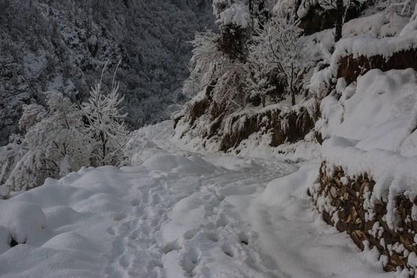 Дорога в снегу - Величественный зимний пейзаж в Гималаях
 - Фото, изображение